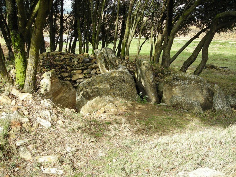 El Encinal trikuharria