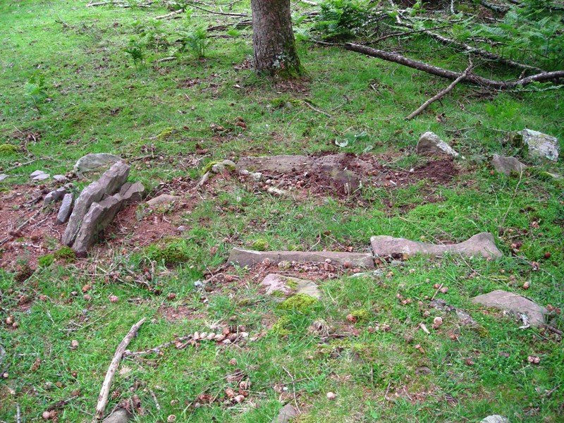 Aritzmendi trikuharria