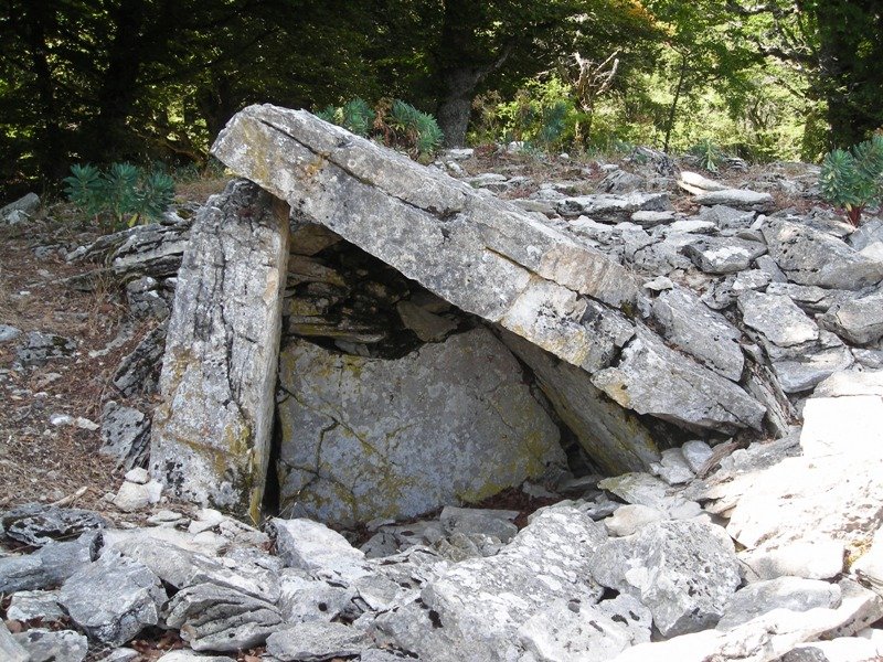 Trekua Arteta trikuharria