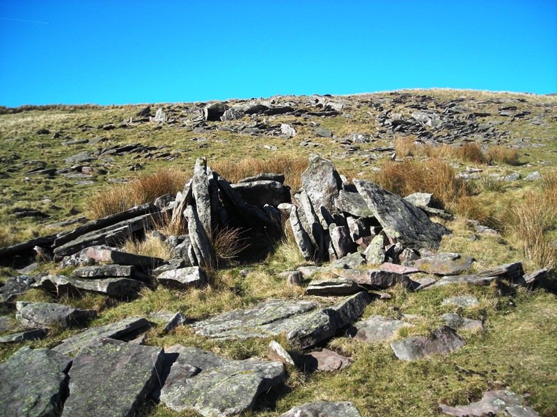 Bardaxilo trikuharria