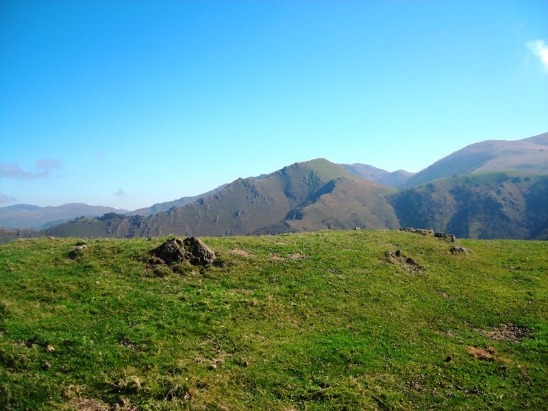 Artheko tontorra harrespila