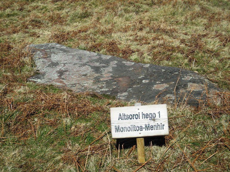 Altsoroi 1 hego zutarria