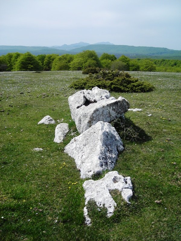 Otsaportillo 2 hego zutarria