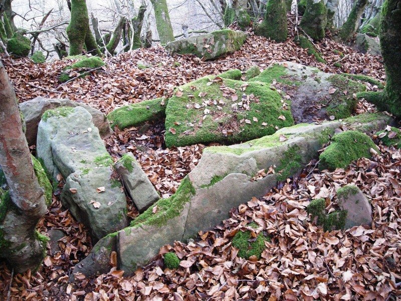 Munddurru trikuharria