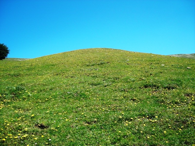 Sosaportillo 1 ipar fondo de cabaña