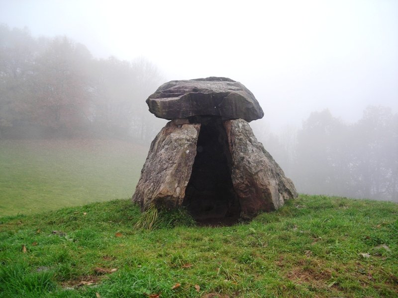 Mairuetxea  trikuharria