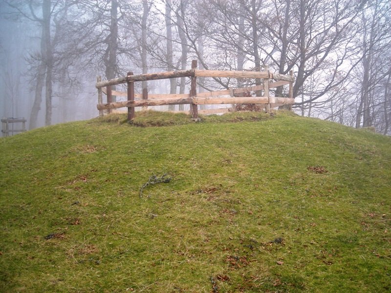 Bagargi  trikuharria