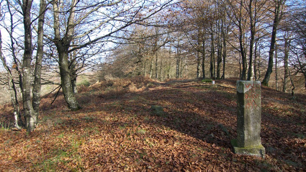 Irumugetako mugarria eta gaina