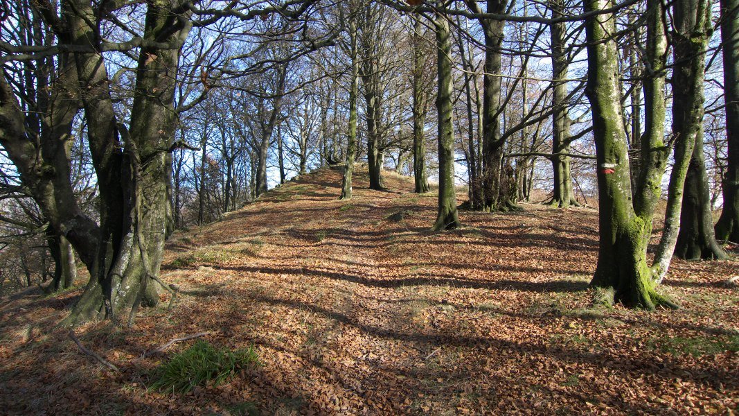 GR12 bidea Irumugeta eta Txaradigorri artean