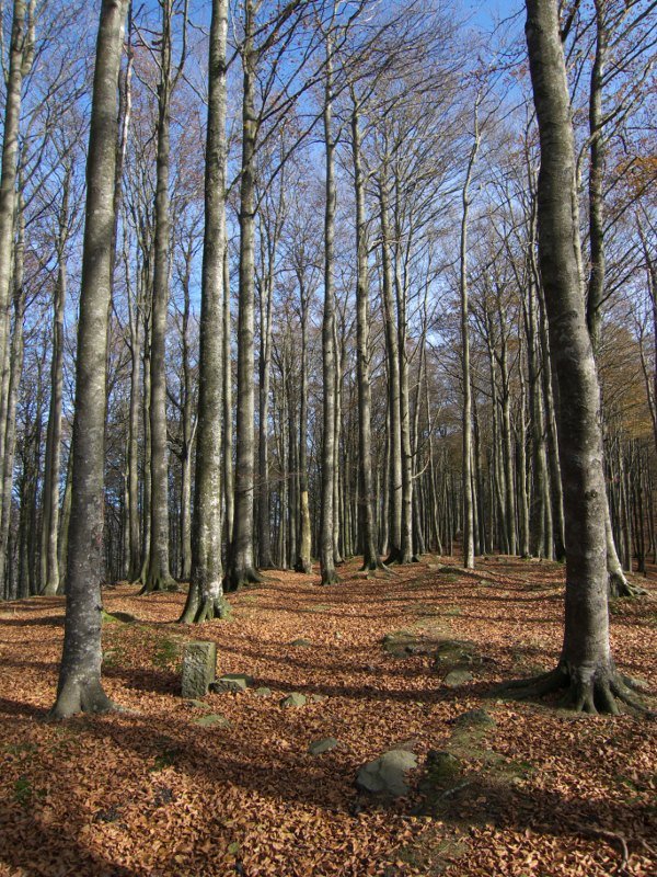 Txaradigorrira gerturatzen Mendebaldeko bizkarretik