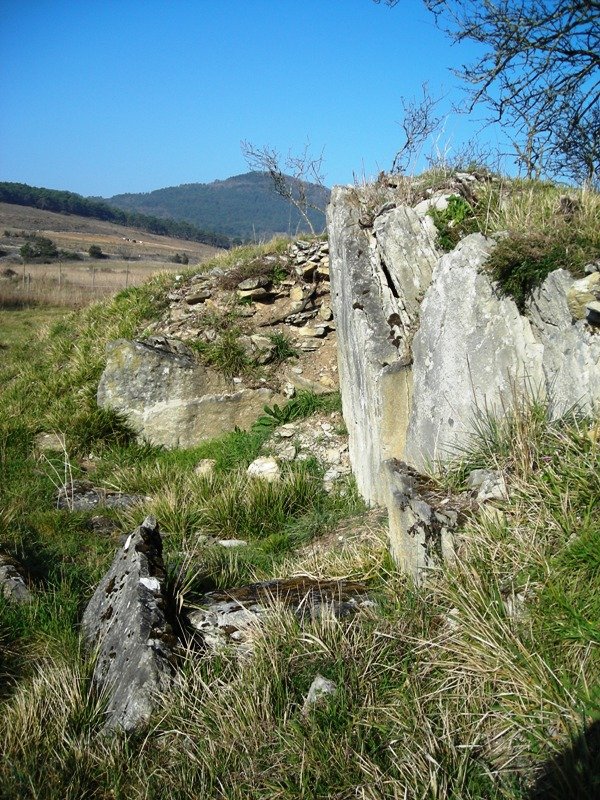 Gurpide hego  trikuharria