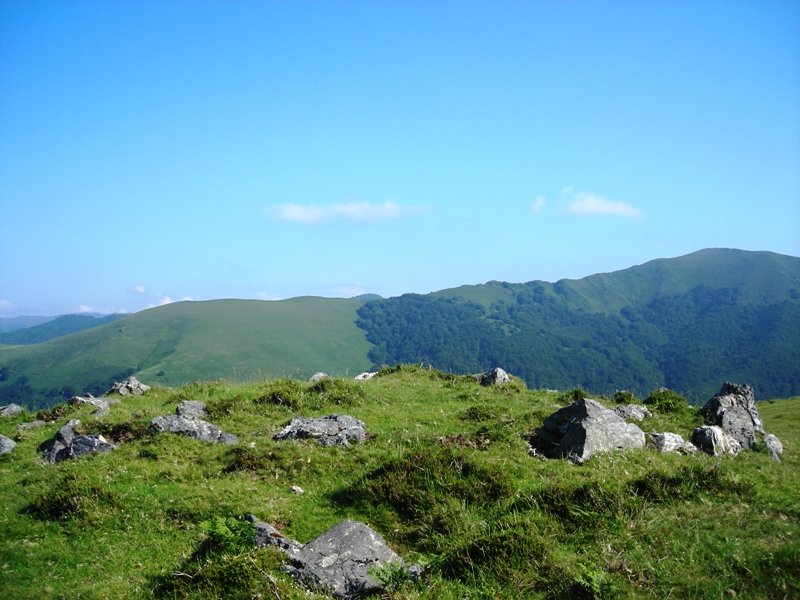 Lekendiko gaña 1 harrespila