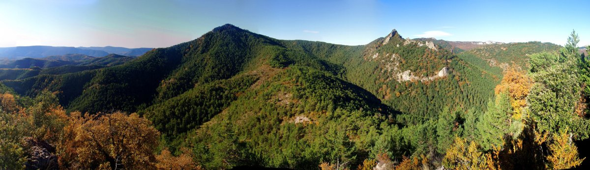 Orlagatu eta Iburtu haitza Oihanburuatik
