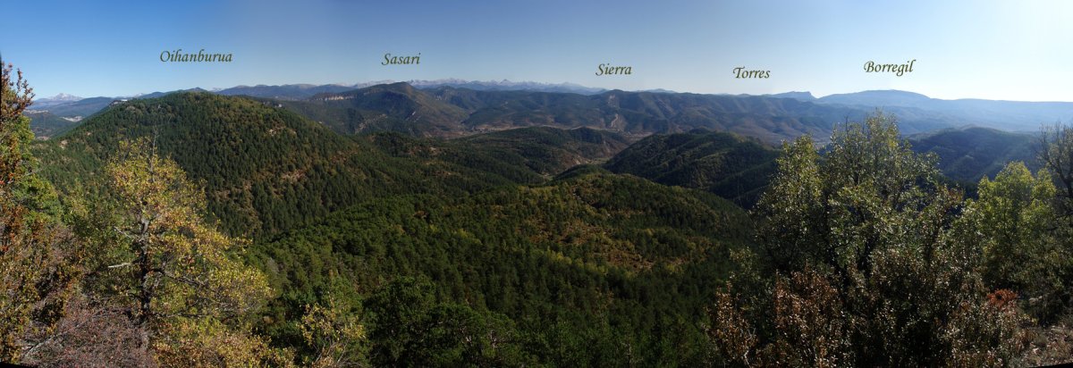 Oihanburua eta Zaraitzuko beste mendi batzuk