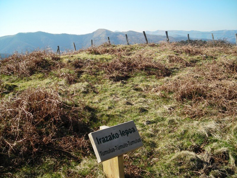 Irazako  lepoa  tumulua