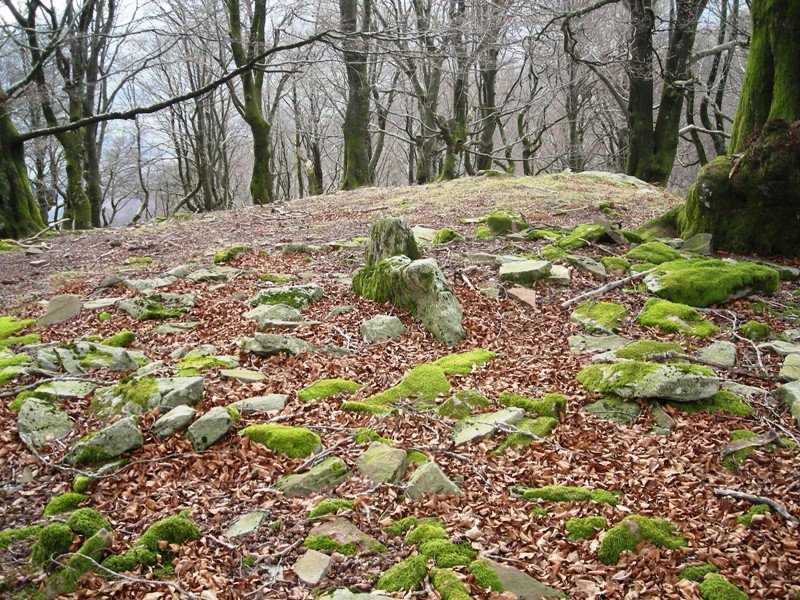 Jeneralaren Tonba trikuharria