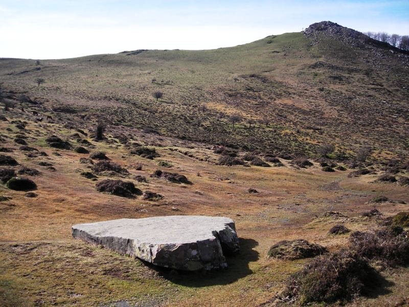 Argibelko lepoa zutarria