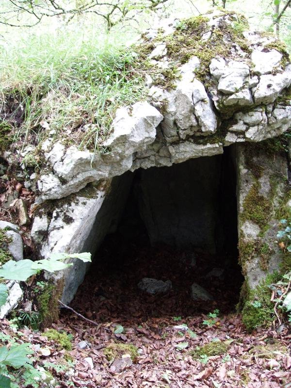 Trikuarriaren kamara