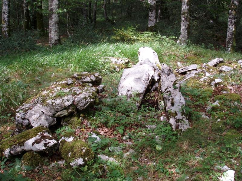 Arrate berri (Izeniturri II)