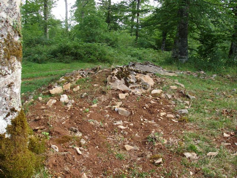 Arranazpieta trikuarriaren hondakinak.