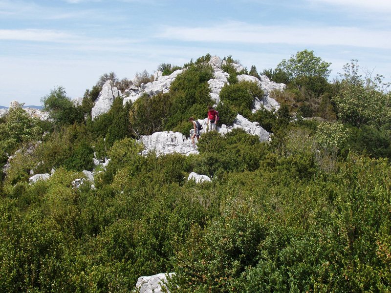 Argibel gaineko gandorra, Larrogaindik jaisten dena