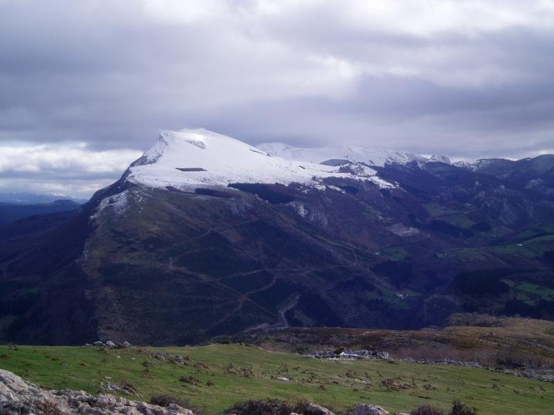 Aloña Orkatzategitik