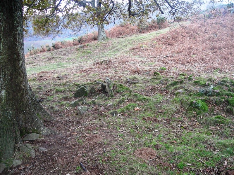 Aitzpulun  trikuharria