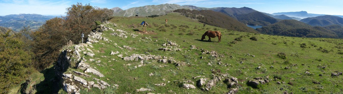 Tontorra eta inguruak