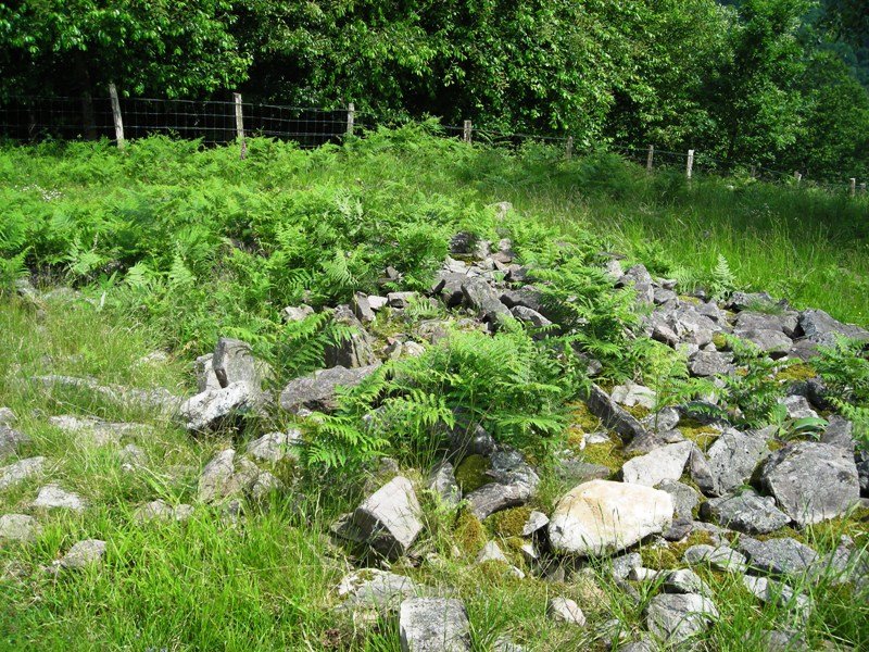 Sagastietako Lepua II trikuharria