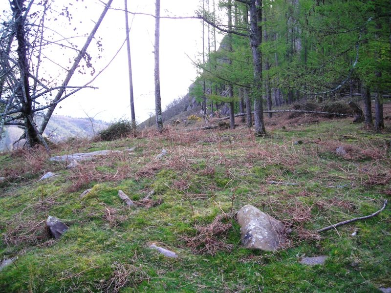 Ardizoko Armasa harrespila