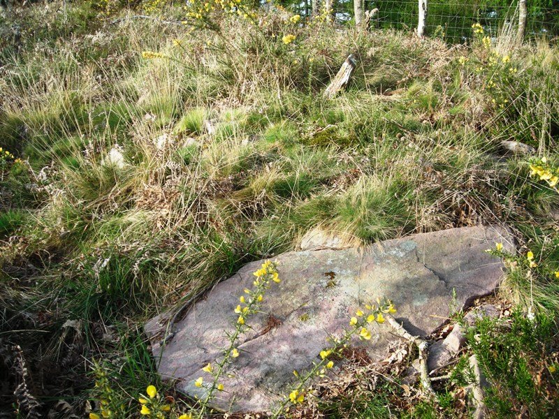 Txarrantxarri 2 hego trikuharria