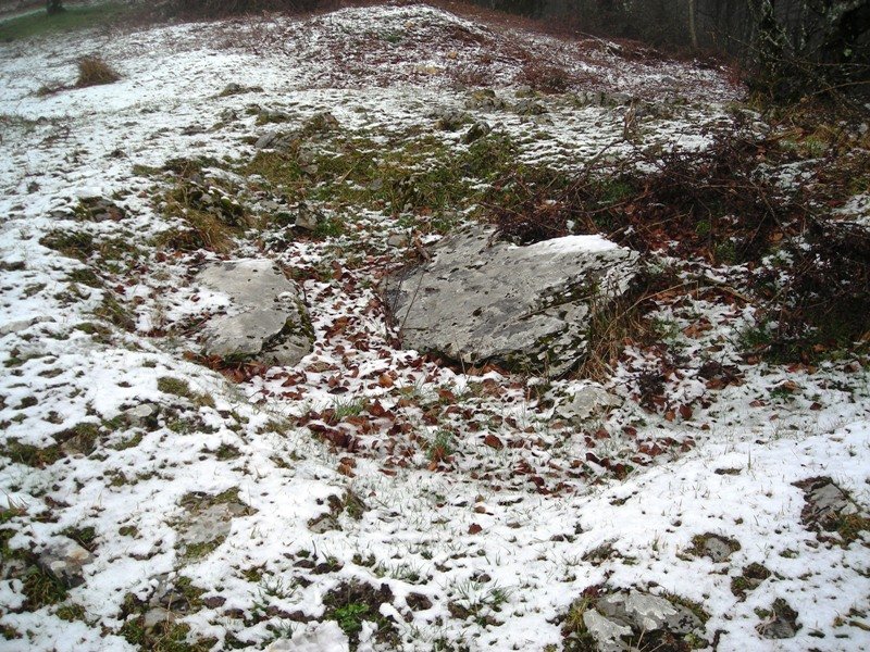 Sokillete trikuharria