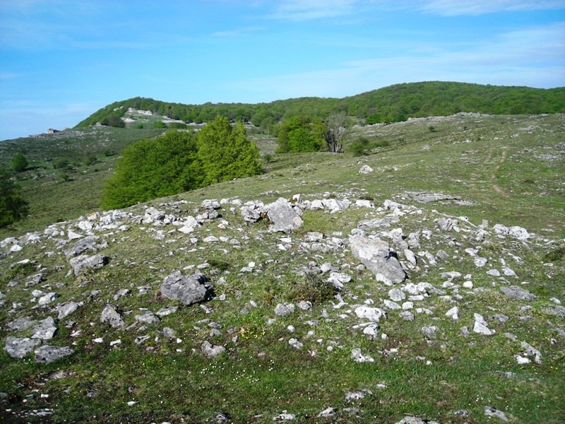 Santa Marina trikuharria