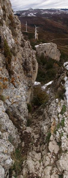 Tximinia labur baina ederra