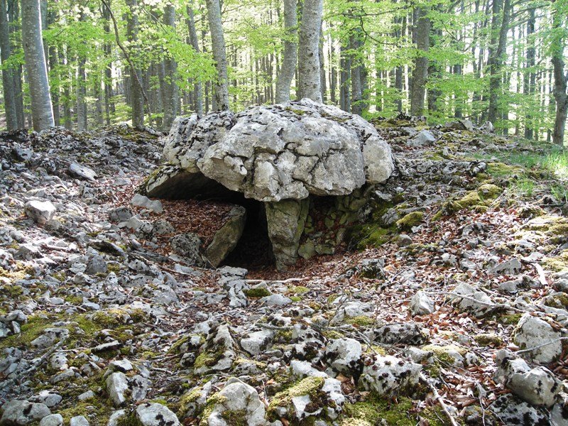 Soiltxiki trikuharria