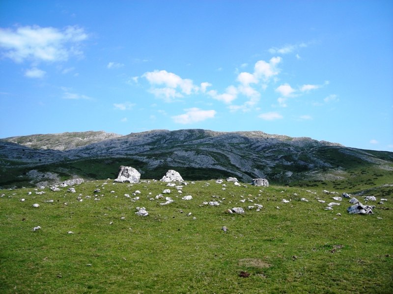 Zeontza  trikuharria