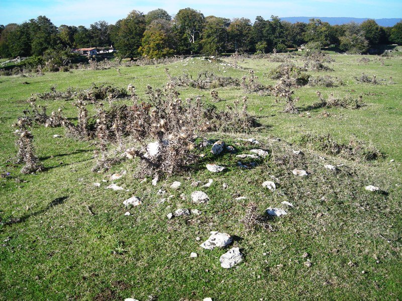 Aranzaduia campo tumular