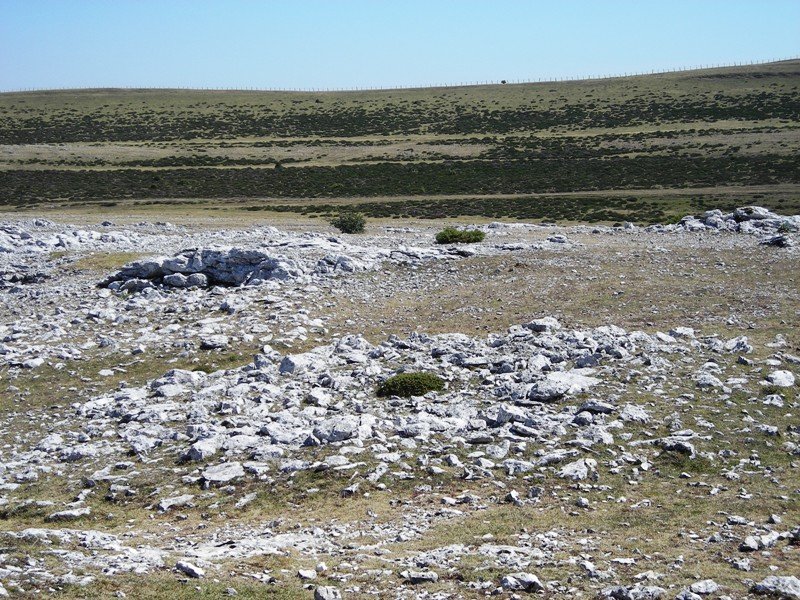 Aitz Txuri trikuharria