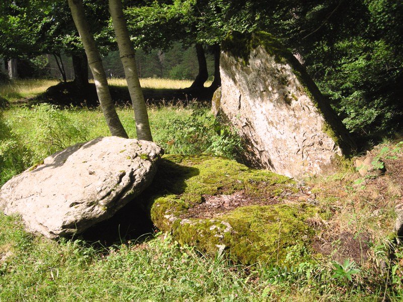 Camping Selva de Oza trikuharria