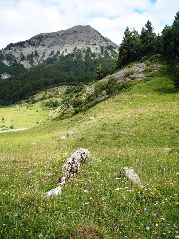 Fuente de los Clérigos trikuharria
