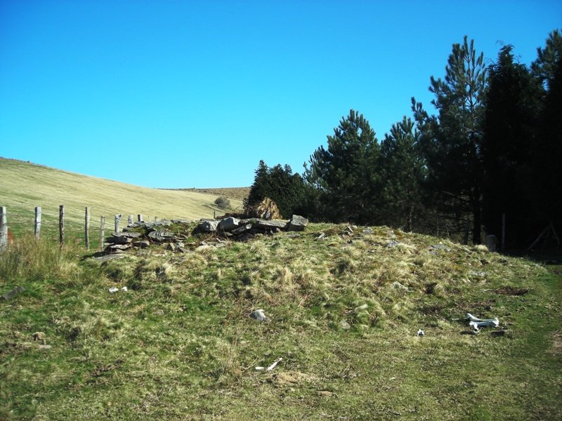 Irazako  trikuharria