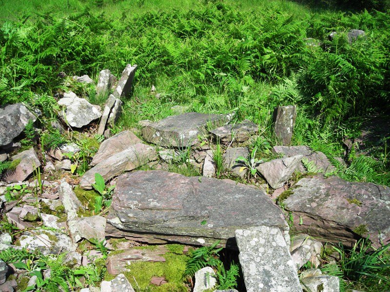 Arritxieta trikuharria