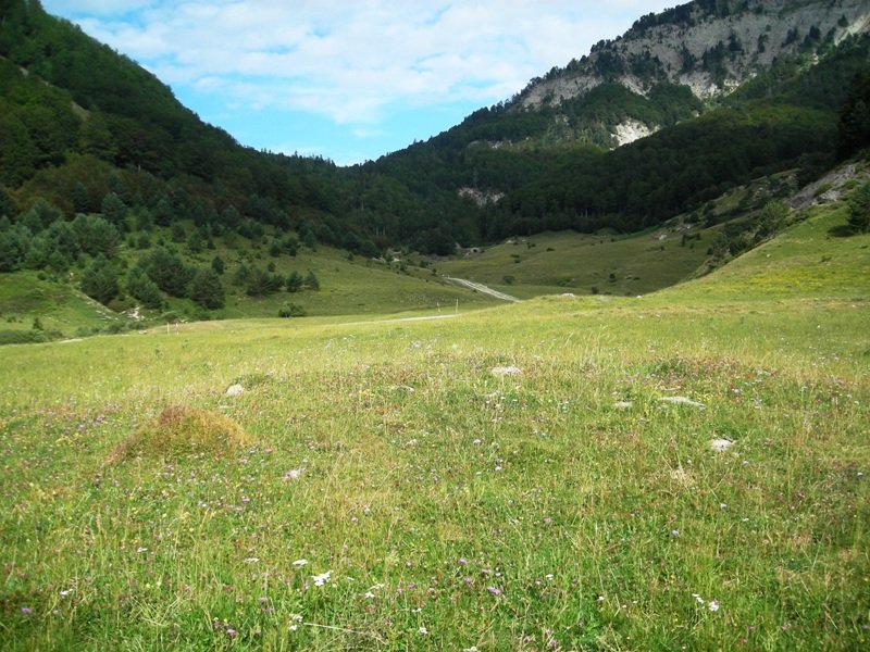 Fuente de los Clérigos tumulua