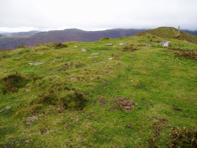 Amonamotzeko kaskoa mairubaratza