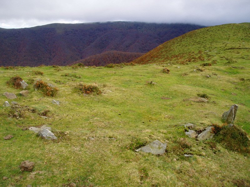 Auntzbizkarreko mairubaratzetako bat