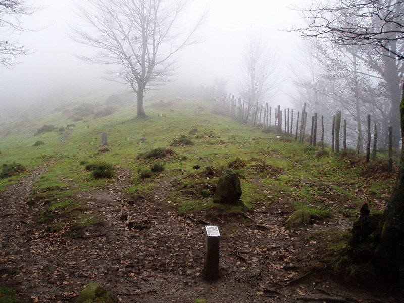 Ibintza mairubaratzak