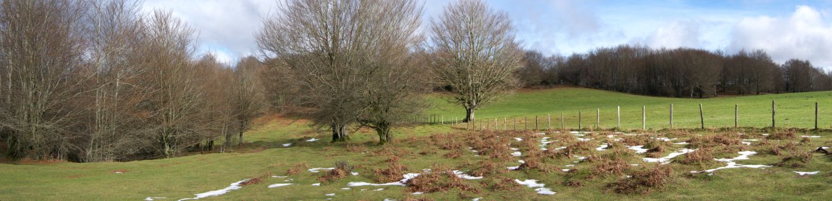 Hegoaldeko Goldanburu gaineko ikuspegi bat