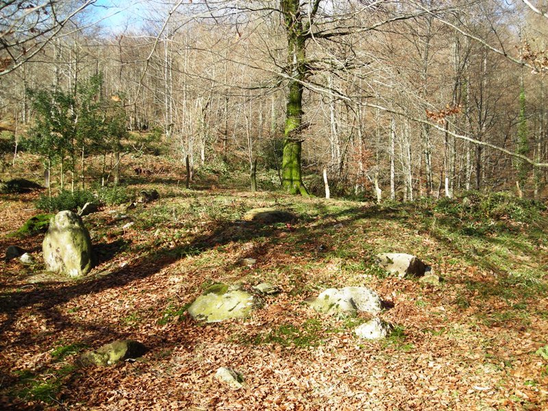 Sarasain Bizkar harrespila