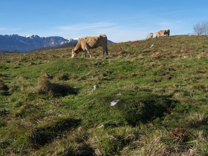 Ez dakit hauek diren...