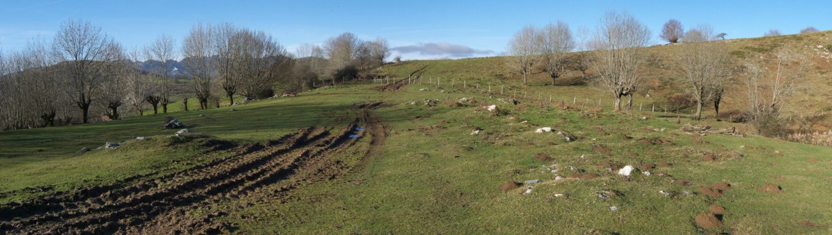 Eremuaren ikuspegi zabala